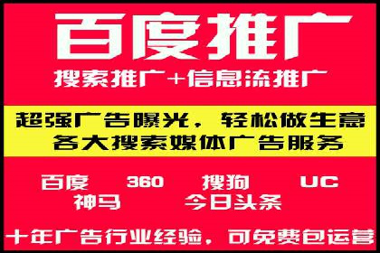 竞价广告案例分析：跨媒体广告投放策略